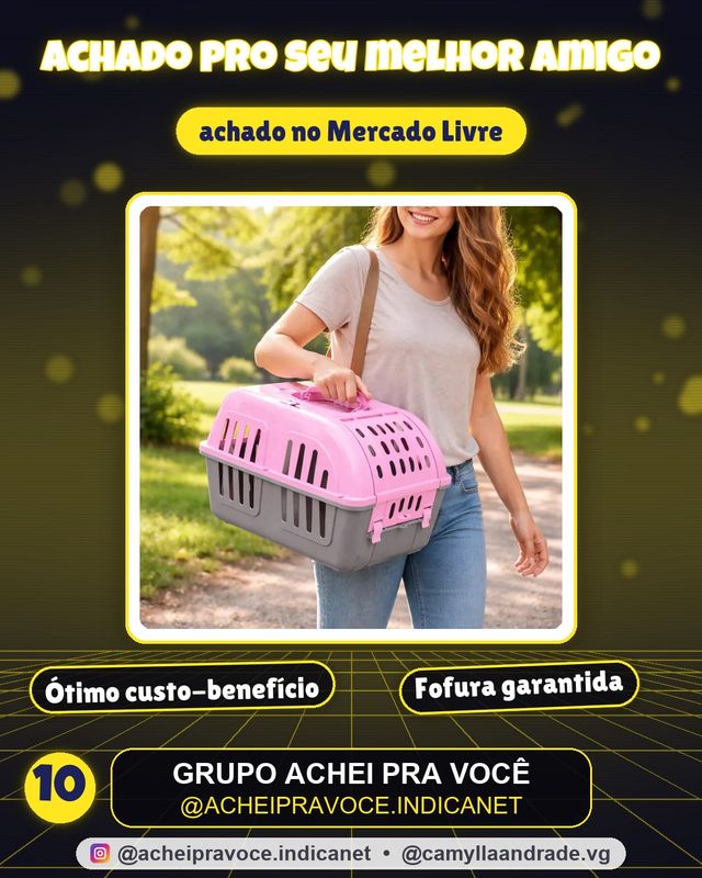 Caixa De Transporte Four Plastic Para Cães E Gatos Color Cor Rosa