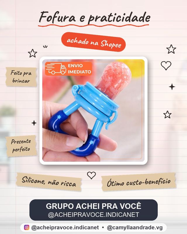 Chupeta Alimentação Infantil Mordedor Bebê Silicone Porta Frutas Introdução Alimentar Azul e Rosa
